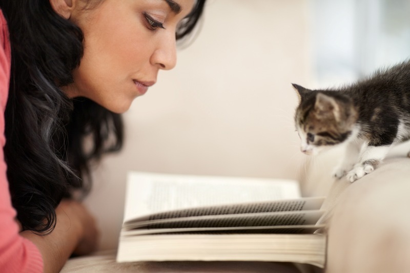 firetree-book-cat Firetree, Ltd.’s facilities offers a supportive environment